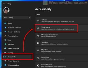 How to Remove Alt+Tab Blur Background in Windows 11