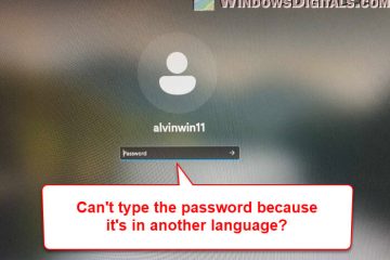 Can't login to Windows because Password in another language