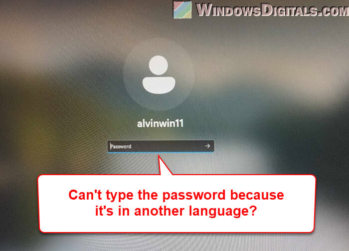 Can't login to Windows because Password in another language