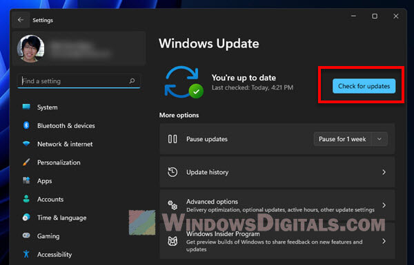 new windows 11 update