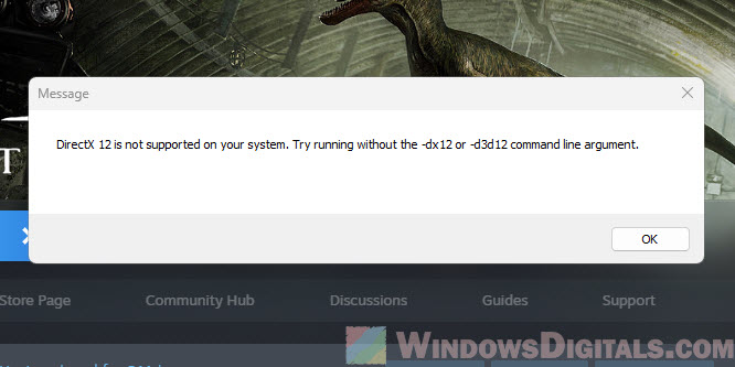 DirectX 12 is not supported on your system try running without dx12