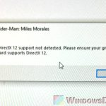 DirectX 12 support not detected