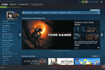 how to download steam workshop files