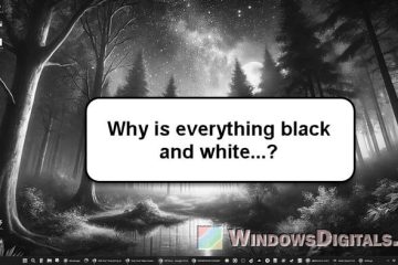 Everything in Windows 11 Looks Black and White