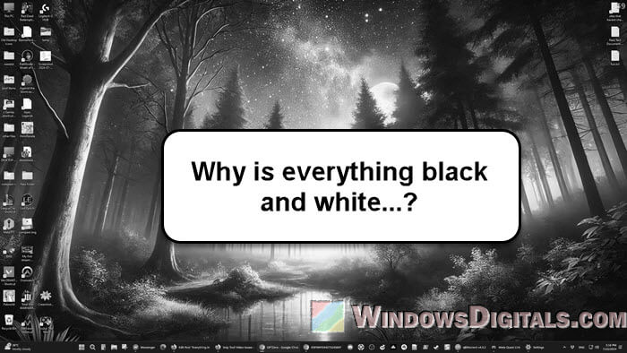 Everything in Windows 11 Looks Black and White