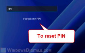 i forgot my pin option missing windows 11