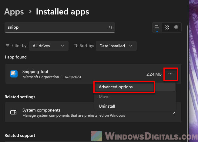 Snipping Tool Advanced Options