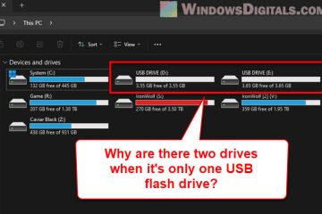 Why is My USB Showing Two Drives in Windows 11