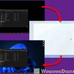 Windows 11 Desktop Randomly Flashes On and Off