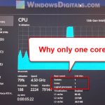 Windows 11 Shows Only One Processor Core