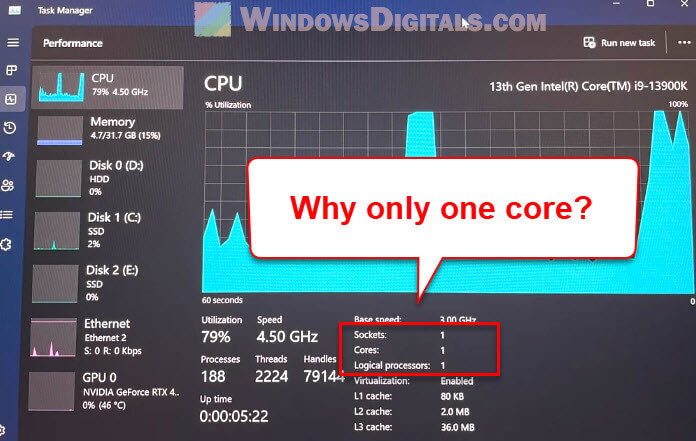 Windows 11 Shows Only One Processor Core